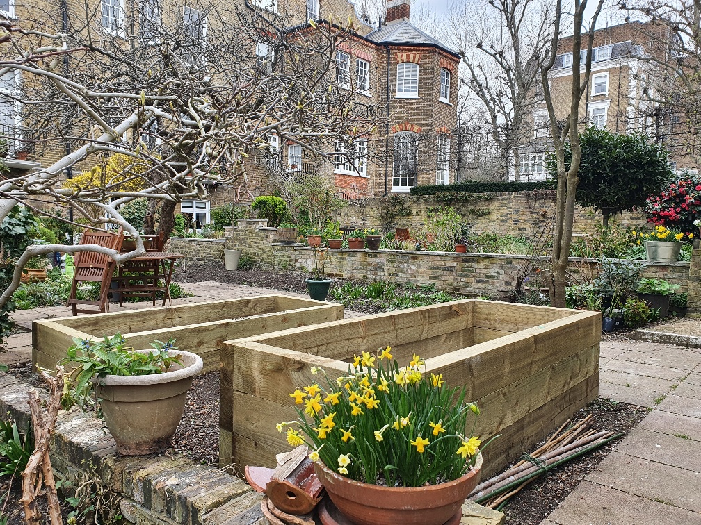 newly built wooden vegetable planters